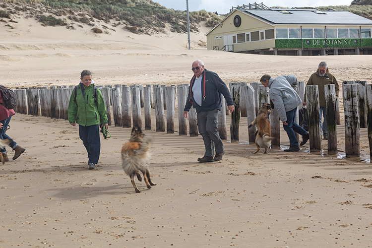 Wandeling Dishoek